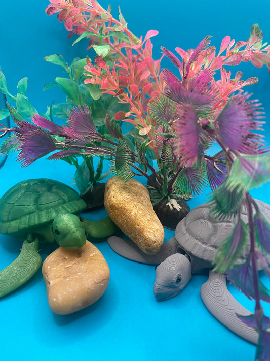 3 pack sea turtles Sam, Sidney, and Sasha