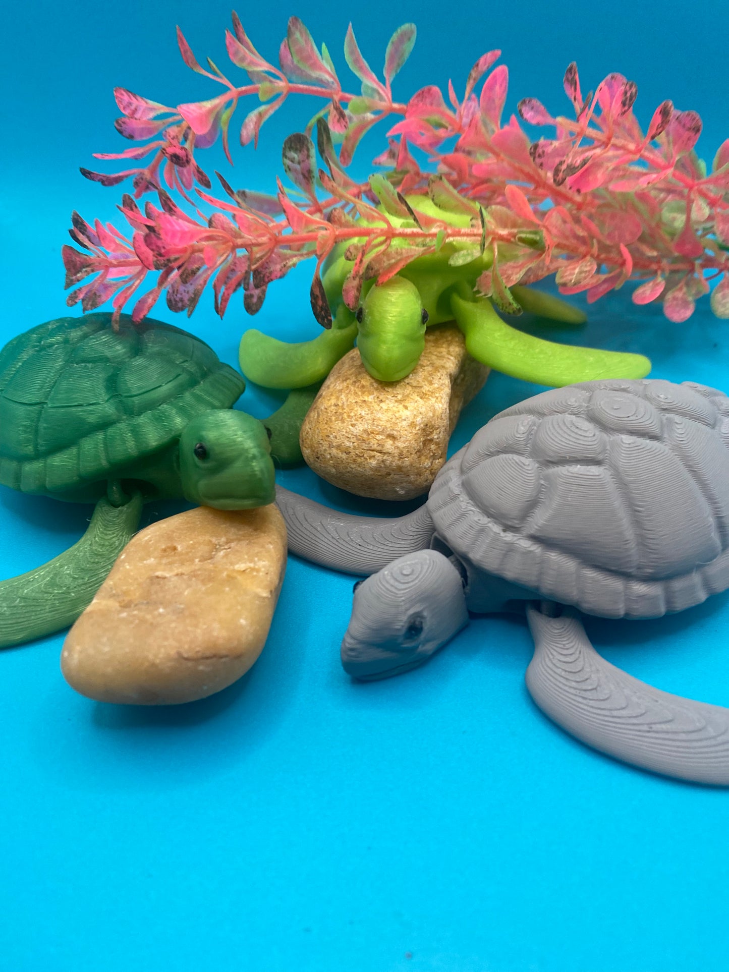 3 pack sea turtles Sam, Sidney, and Sasha