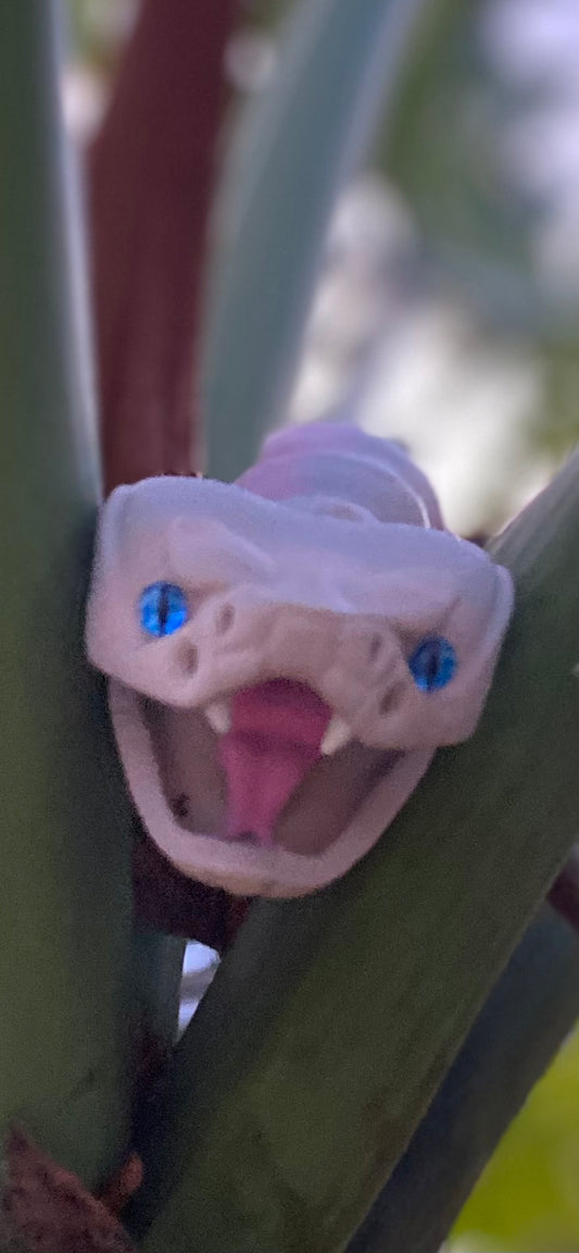 laver the rattle snake