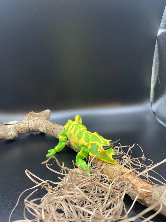camo the Multicolored horned chameleon