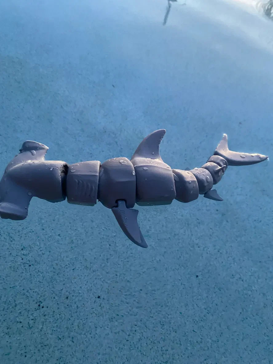 Hammerhead Shark